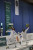 fight on podium